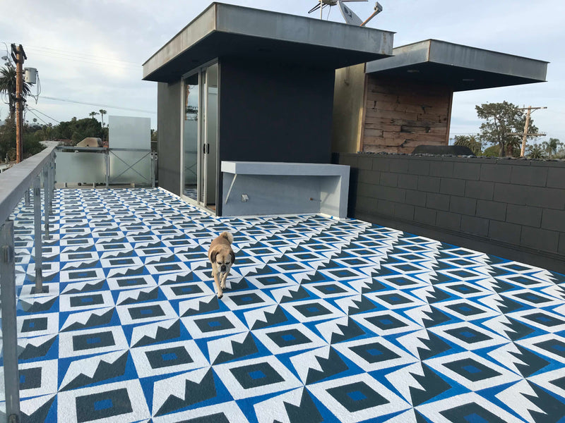 A small dog walks across a rooftop deck with a custom blue and white Integratronic floor mural.